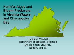 PHYTOPLANKTON IN VIRGINIA WATERS