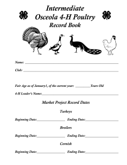 Poultry, 10-14 years old