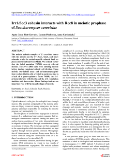 Irr1/Scc3 cohesin interacts with Rec8 in meiotic prophase of