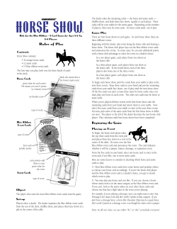 horse show - Gamewright