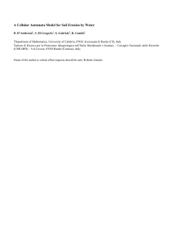 A Cellular Automata Model for Soil Erosion by