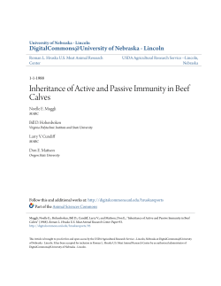 Inheritance of Active and Passive Immunity in Beef Calves