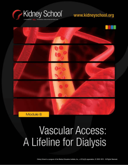 English - Kidney School