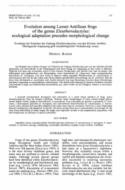 Evolution among Lesser Antillean frogs of the genus
