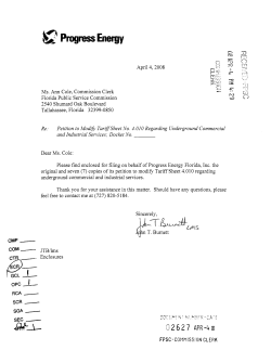 Progress Energy - Florida Public Service Commission