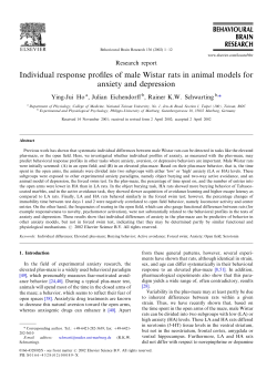 Individual response profiles of male Wistar rats in animal models for