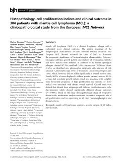 Histopathology, cell proliferation indices and clinical outcome in 304