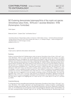 NC-Clustering demonstrates heterospecificity of the cryptic ant