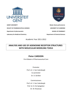 ANALYSIS AND USE OF ADENOSINE RECEPTOR STRUCTURES