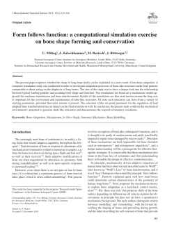 Form follows function: a computational simulation exercise on bone