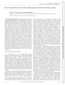 Fast visual prediction and slow optimization of preferred walking