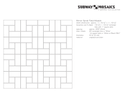 Mirror Spiral Field Module