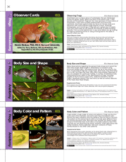 Frog s Observer Cards www.eo l.org Frogs Body Size and Shape A