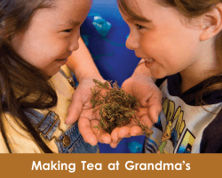 Making Tea at Grandma`s