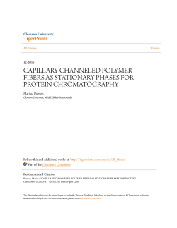 capillary-channeled polymer fibers as stationary phases for protein