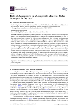 Role of Aquaporins in a Composite Model of Water Transport in the