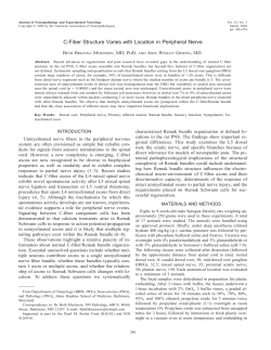 C-Fiber Structure Varies with Location in Peripheral Nerve