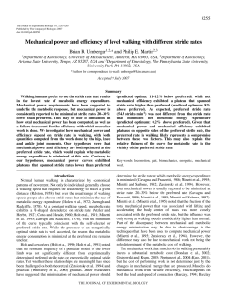 Mechanical power and efficiency of level walking