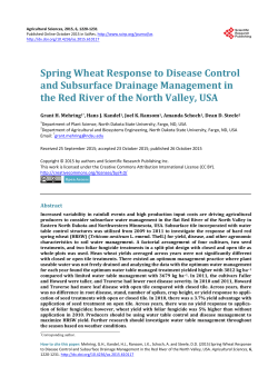Spring Wheat Response to Disease Control and Subsurface