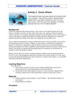 Activity 3 - Web Adventures