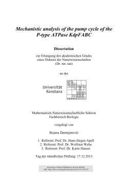 Mechanistic analysis of the pump cycle of the P
