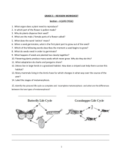 GRADE 5 &ndash; REVISION WORKSHEET Section &ndash; A (LIFE CYCLE) 1