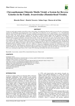 Chrysanthemum Chlorotic Mottle Viroid: a System for Reverse