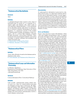 Thalamocortical Dysrhythmia Thalamocortical