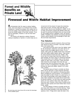 Firewood and Wildlife Habitat Improvement