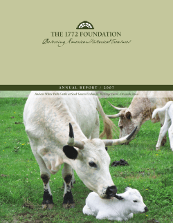 Preserving American Historical Treasures