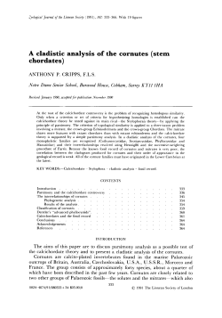 A cladistic analysis of the cornutes (stem chordates)