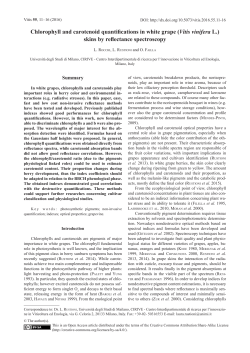 Chlorophyll and carotenoid quantifications in white grape