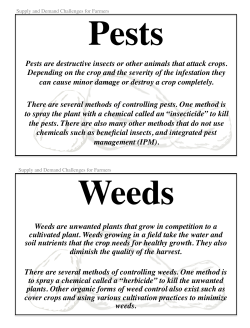 Supply and Demand Challenges for Farmers