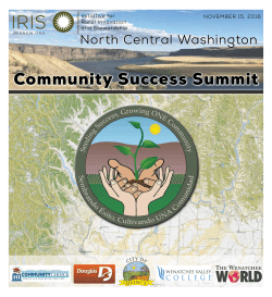 2016 NCW Community Success Supplement