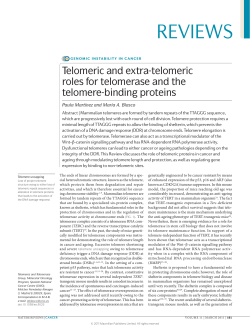 Telomeric and extra-telomeric roles for telomerase - adn
