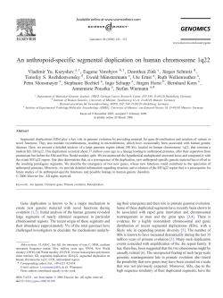 An anthropoid-specific segmental duplication on human