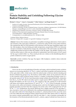 Protein Stability and Unfolding Following Glycine Radical Formation