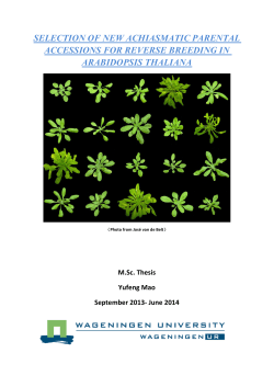 Selection of new achiasmatic parental accessions for reverse