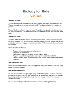 Biology for Kids Viruses