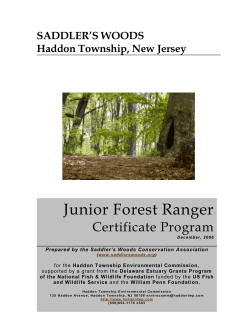 Junior Forest Ranger - Saddler`s Woods Conservation Association