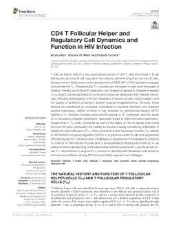 CD4 T Follicular Helper and Regulatory Cell Dynamics and Function