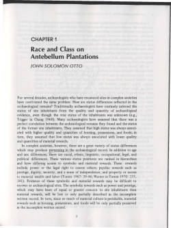 Race and Class on Antebellum Plantations