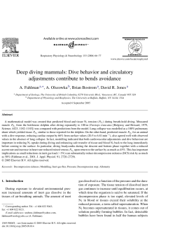 Deep diving mammals: Dive behavior and