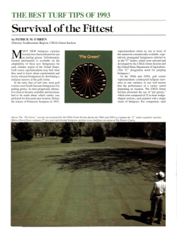 Survival of the Fittest