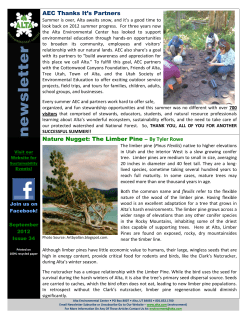 AEC Thanks It`s Partners Nature Nugget: The Limber Pine &ndash; By Tyler
