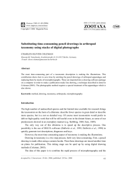 zootaxa