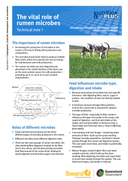 The vital role of rumen microbes