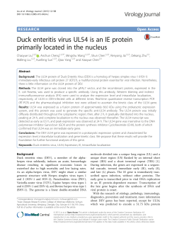 Duck enteritis virus UL54 is an IE protein primarily located in the