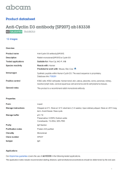 Anti-Cyclin D3 antibody [SP207]