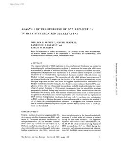 analysis of the schedule of dna replication in heat